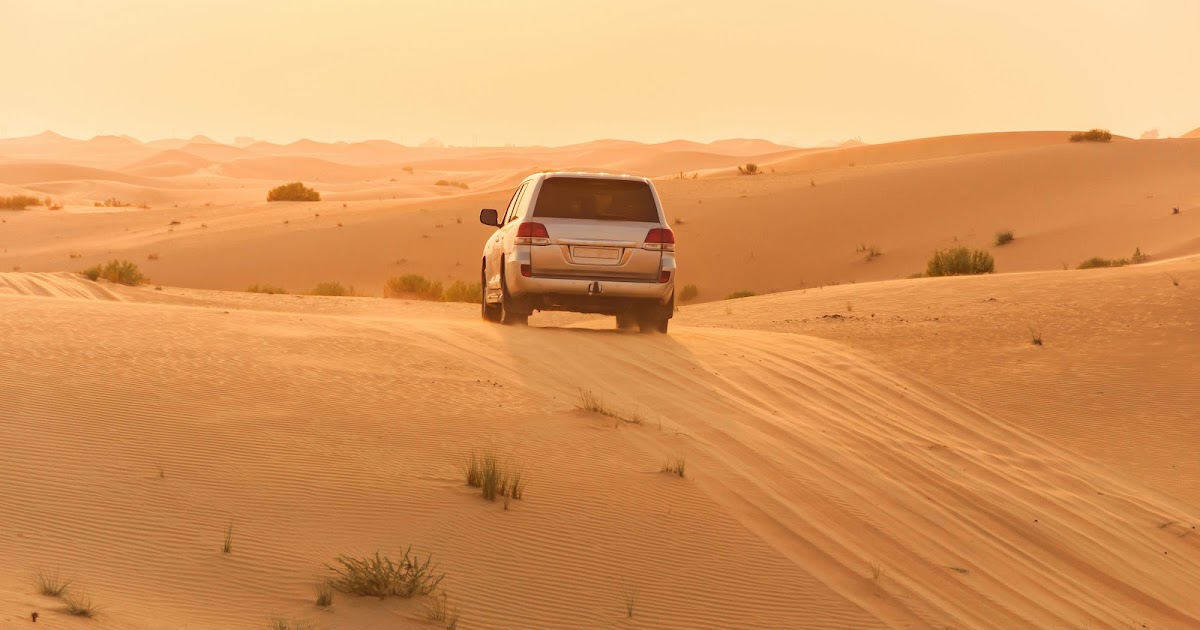 Festivals de cinéma à Dubaï et meilleures routes à travers les Émirats