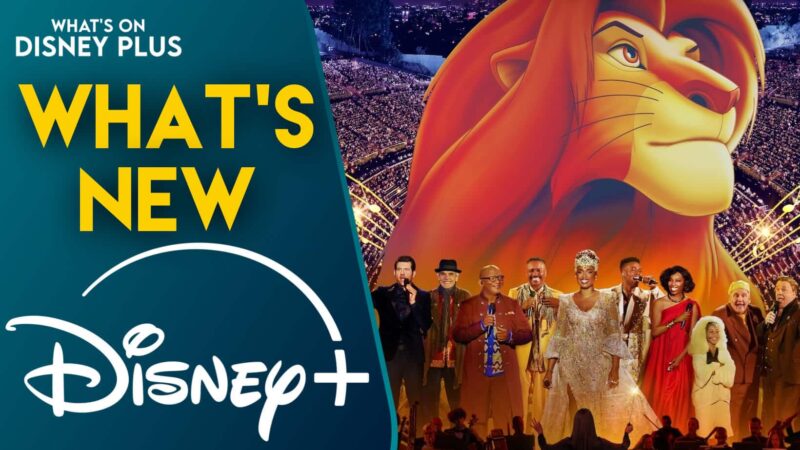 Le Roi Lion au Hollywood Bowl : les nouveautés sur Disney+