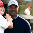 Donald Trump and Tiger Woods Golf Together Before Trump Attends Super Bowl