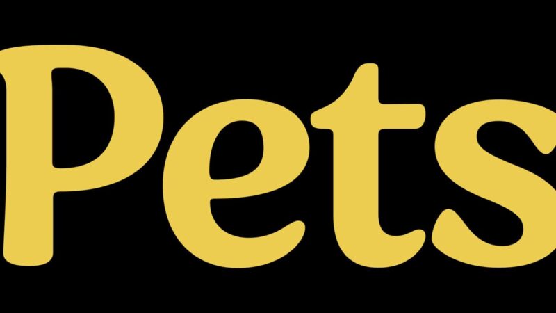 Bryce Dallas Howard présente “Pets” sur Disney+ prochainement