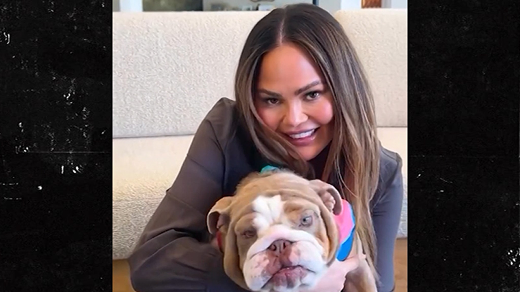 Chrissy Teigen et John Legend adoptent un chien sauvé nommé Dudley