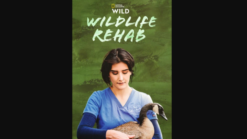 Hulu et Disney+ à seulement 2,99 $ par mois