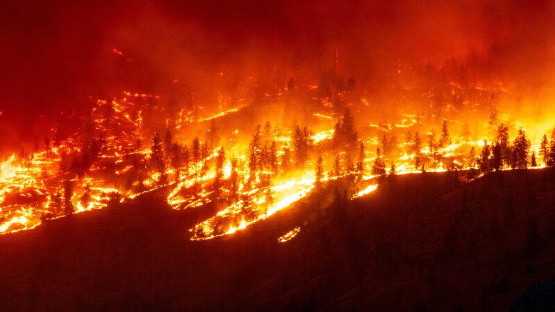 Incendies dévastateurs en Oklahoma : état des lieux et bilan des pertes