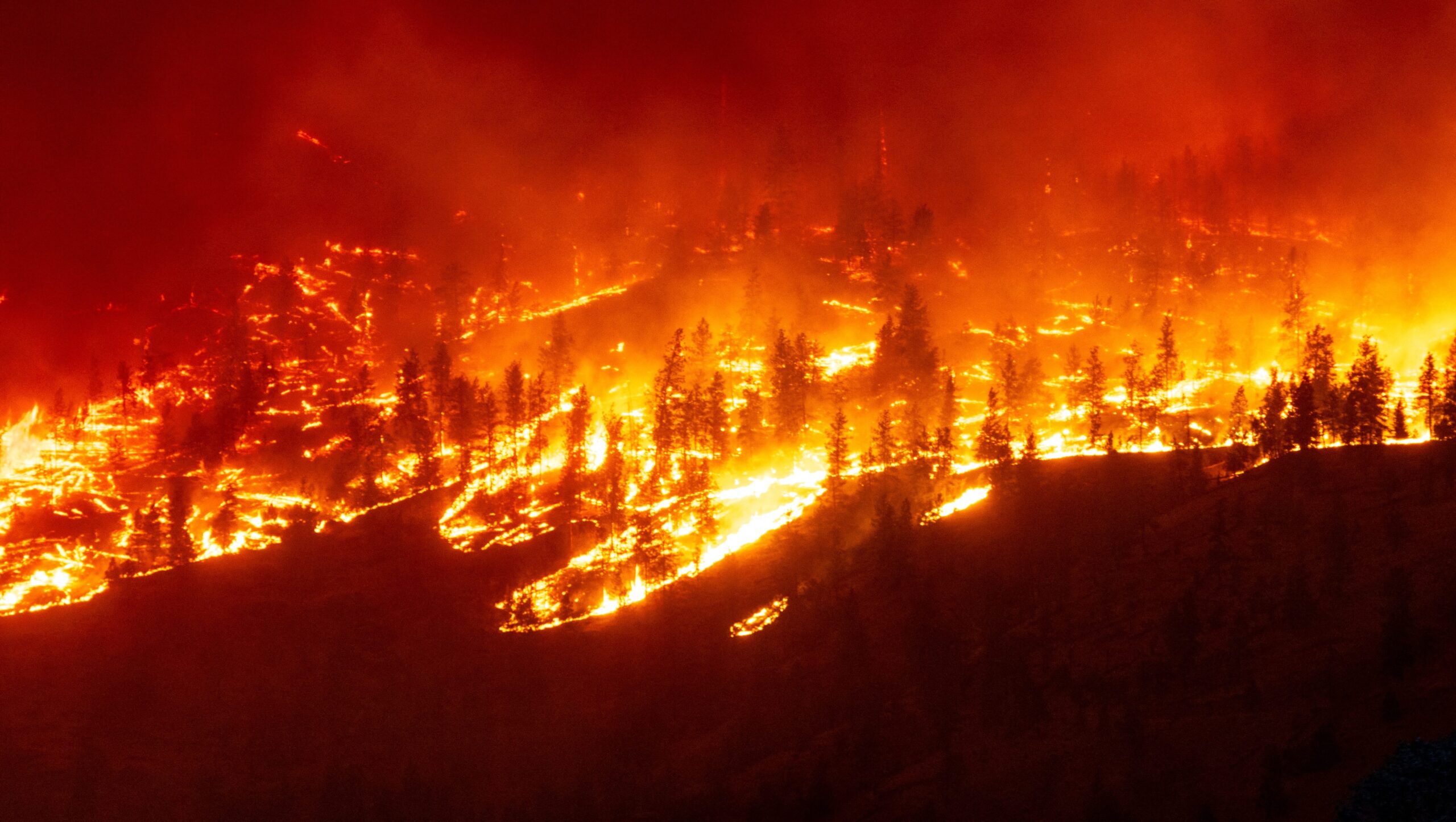 Incendies dévastateurs en Oklahoma : état des lieux et bilan des pertes
