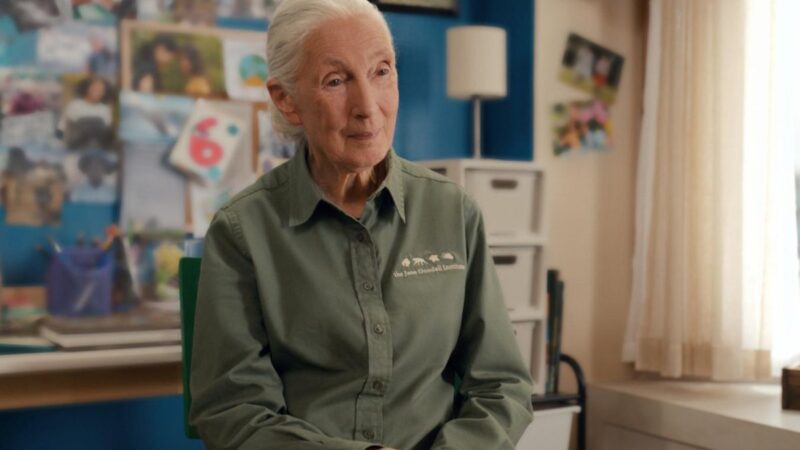 Jane Goodall dans la saison 3 de la série ‘Jane’ sur Apple TV+