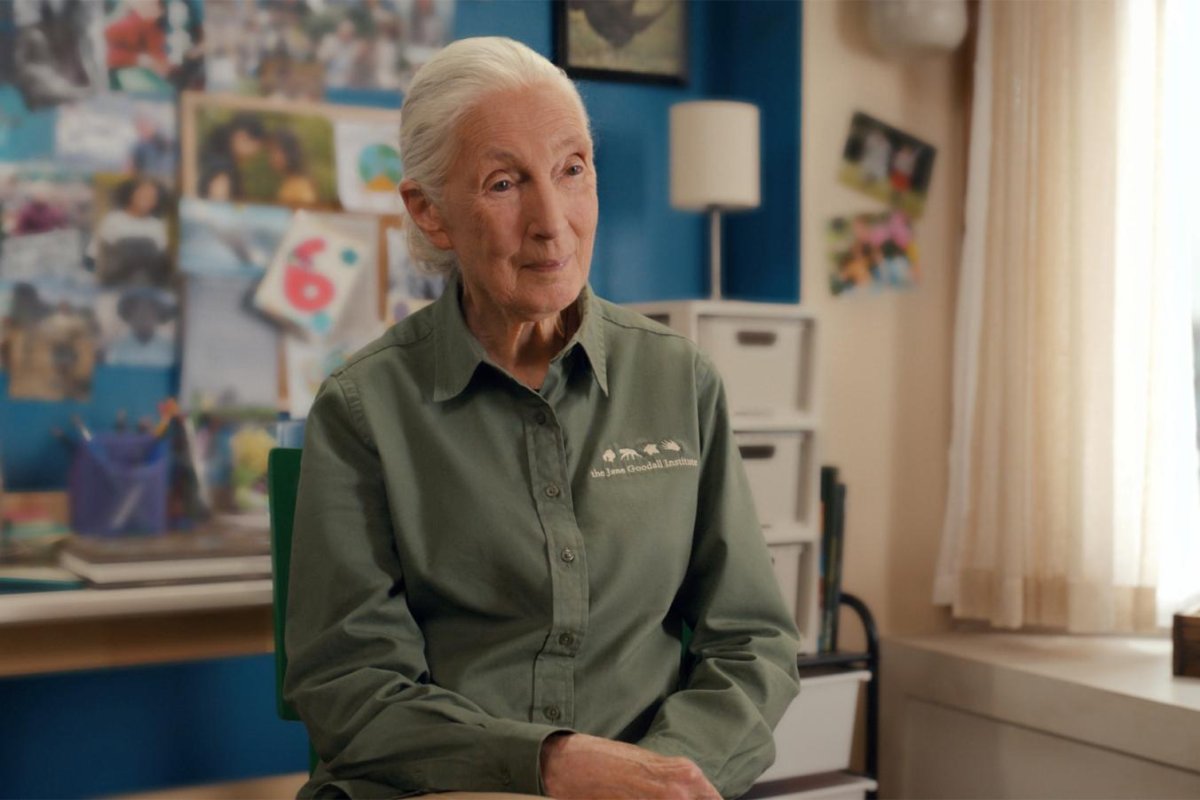 Jane Goodall dans la saison 3 de la série ‘Jane’ sur Apple TV+