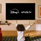 Disney+ Coming Soon to Whale TV Models
