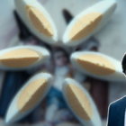 Creator reveals the true significance of eggs in Severance