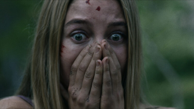 Comment le phénomène de ‘Wrong Turn’ influence la stratégie de contenu de Netflix