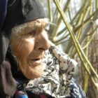TV Shows about Old Women Kicking Ass