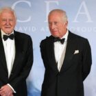 How to watch Ocean with David Attenborough on Disney+