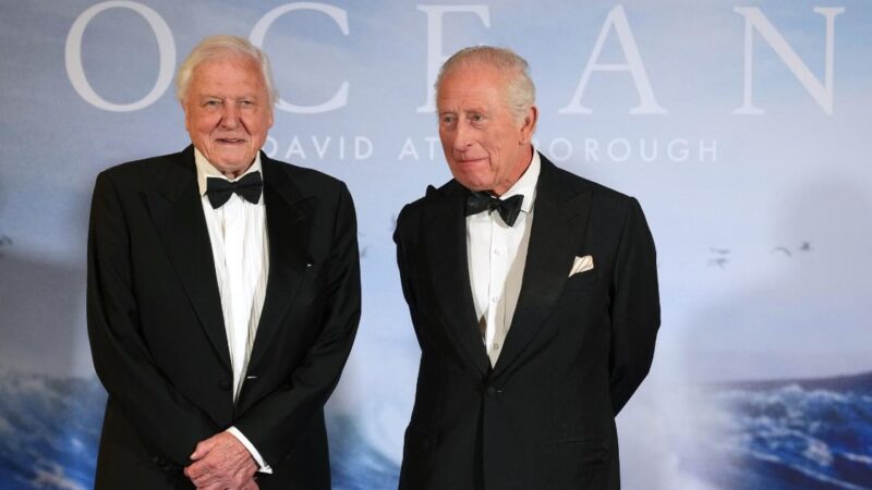 Regarder Ocean avec David Attenborough sur Disney+
