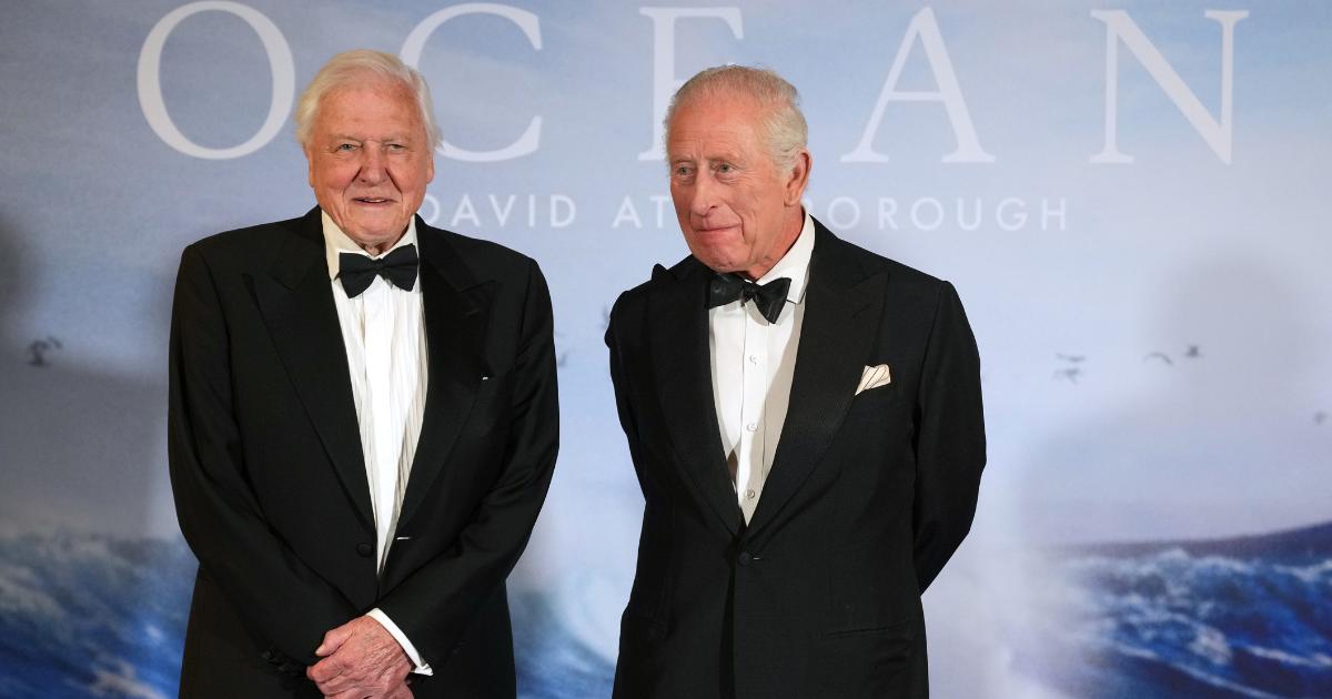 Regarder Ocean avec David Attenborough sur Disney+