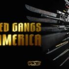Inside the Violent Rise of the Nazi Lowriders — Watch a Shocking First Look at Tuesday’s Episode of United Gangs of America on Vice TV