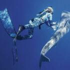 Netflix brings new attention to Ocean Ramsey’s shark interactions