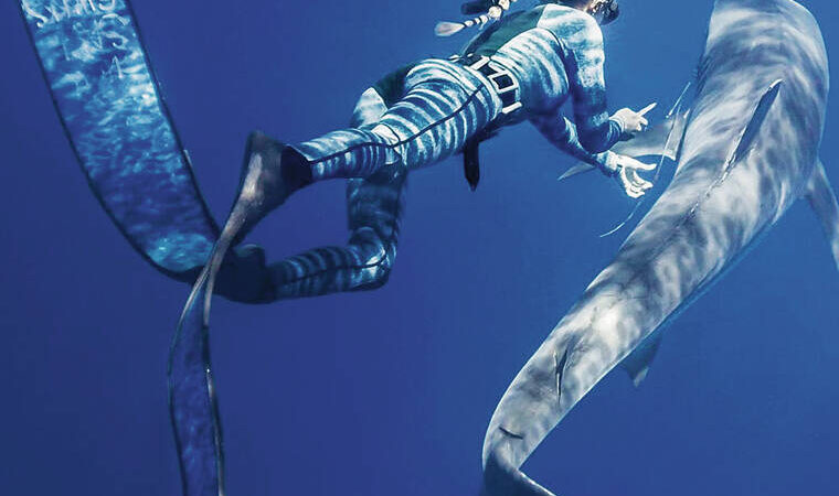 Netflix met en lumière les interactions avec les requins de Ocean Ramsey