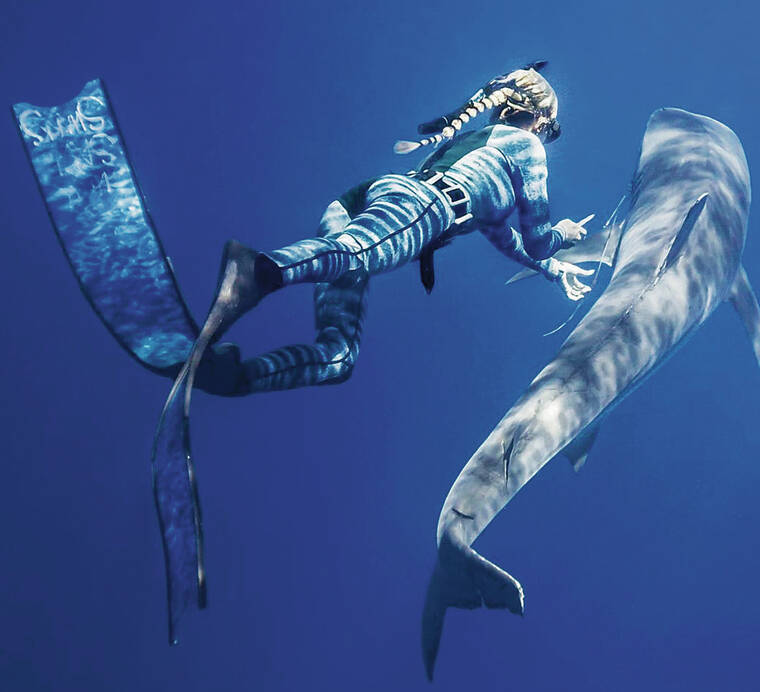 Netflix met en lumière les interactions avec les requins de Ocean Ramsey