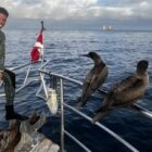 California ‘Shark Doc’ is a king of the seas in Netflix competition show – The Mercury News