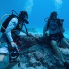 La Jolla scientist competes on Netflix ocean photography show – San Diego Union-Tribune