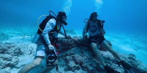 Une scientifique de La Jolla participe à un show Netflix sur la photographie océanique