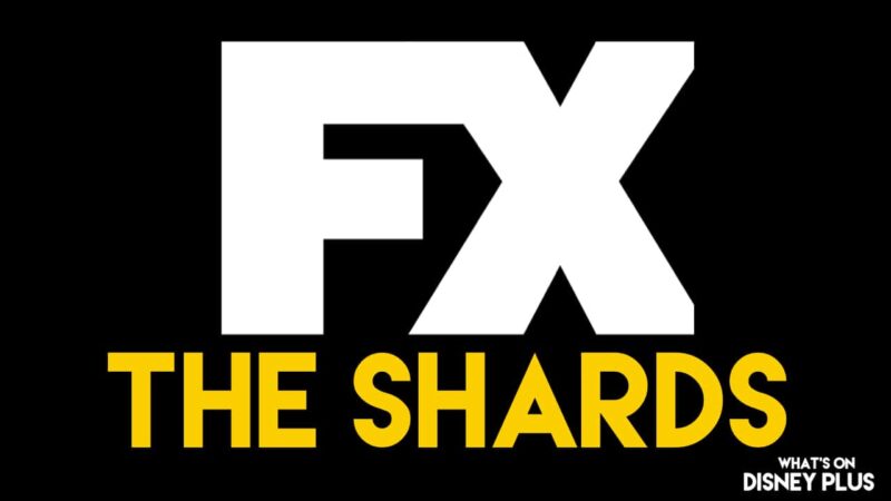 Hayes Warner rejoint le casting de ‘The Shards’ sur FX