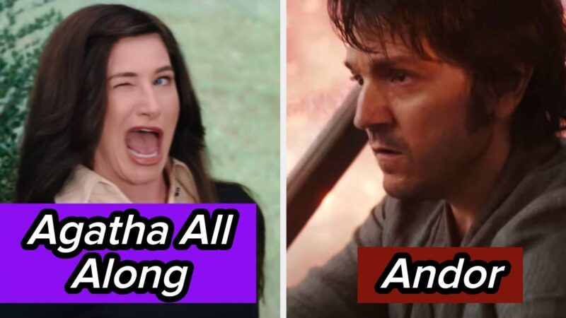 Les meilleures séries Disney+ selon les abonnés