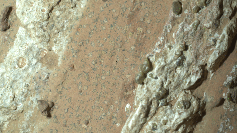 Des signes de vie ancienne découverts sur Mars grâce à un échantillon de roche