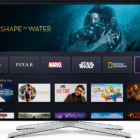 Which should you choose? – The Tide