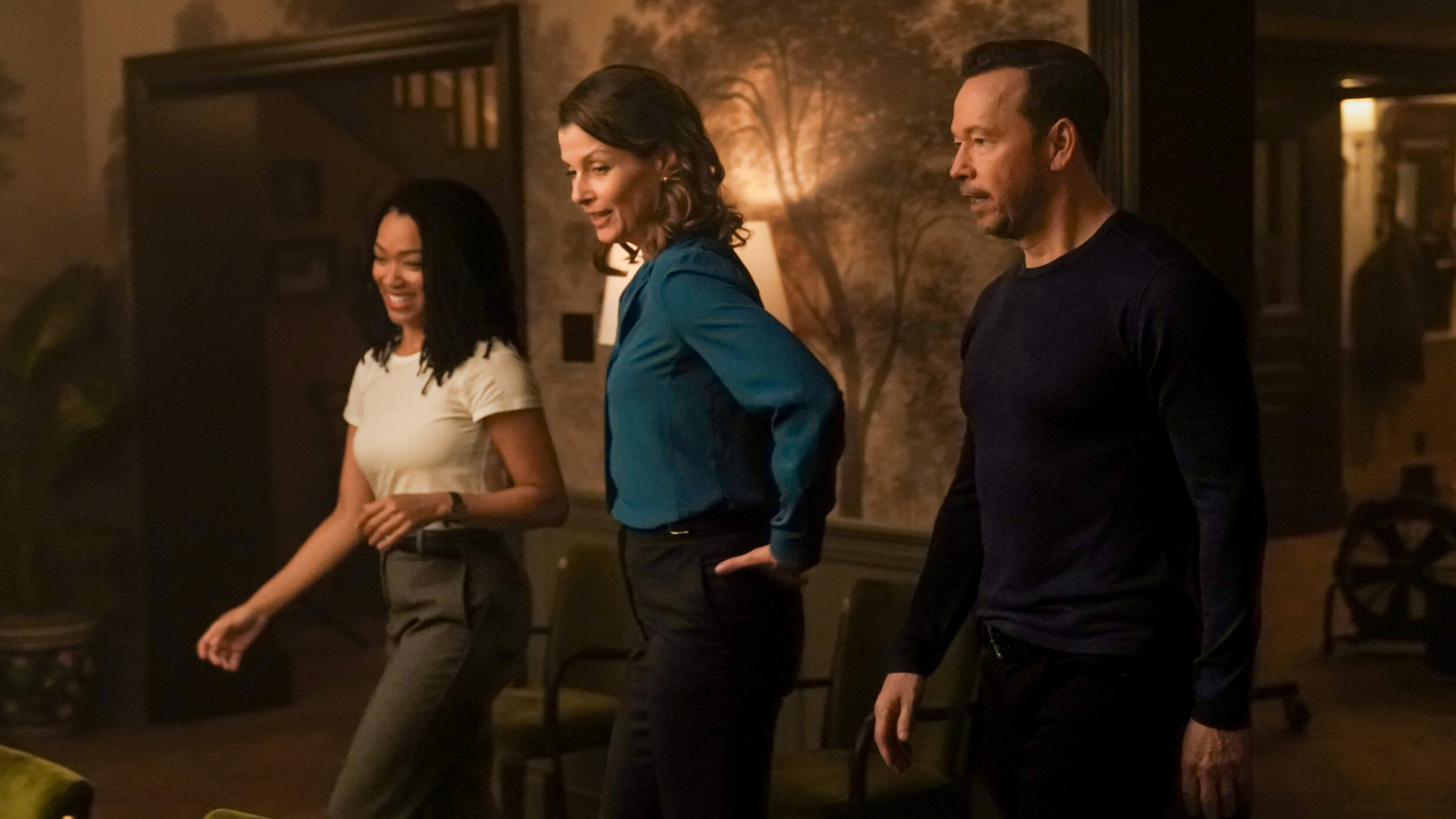 Les acteurs de Blue Bloods : changements pour Danny et Baez, cameo de Sean