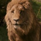 Netflix’s Next Big Fantasy Franchise Just Scored A Star Wars VFX Legend