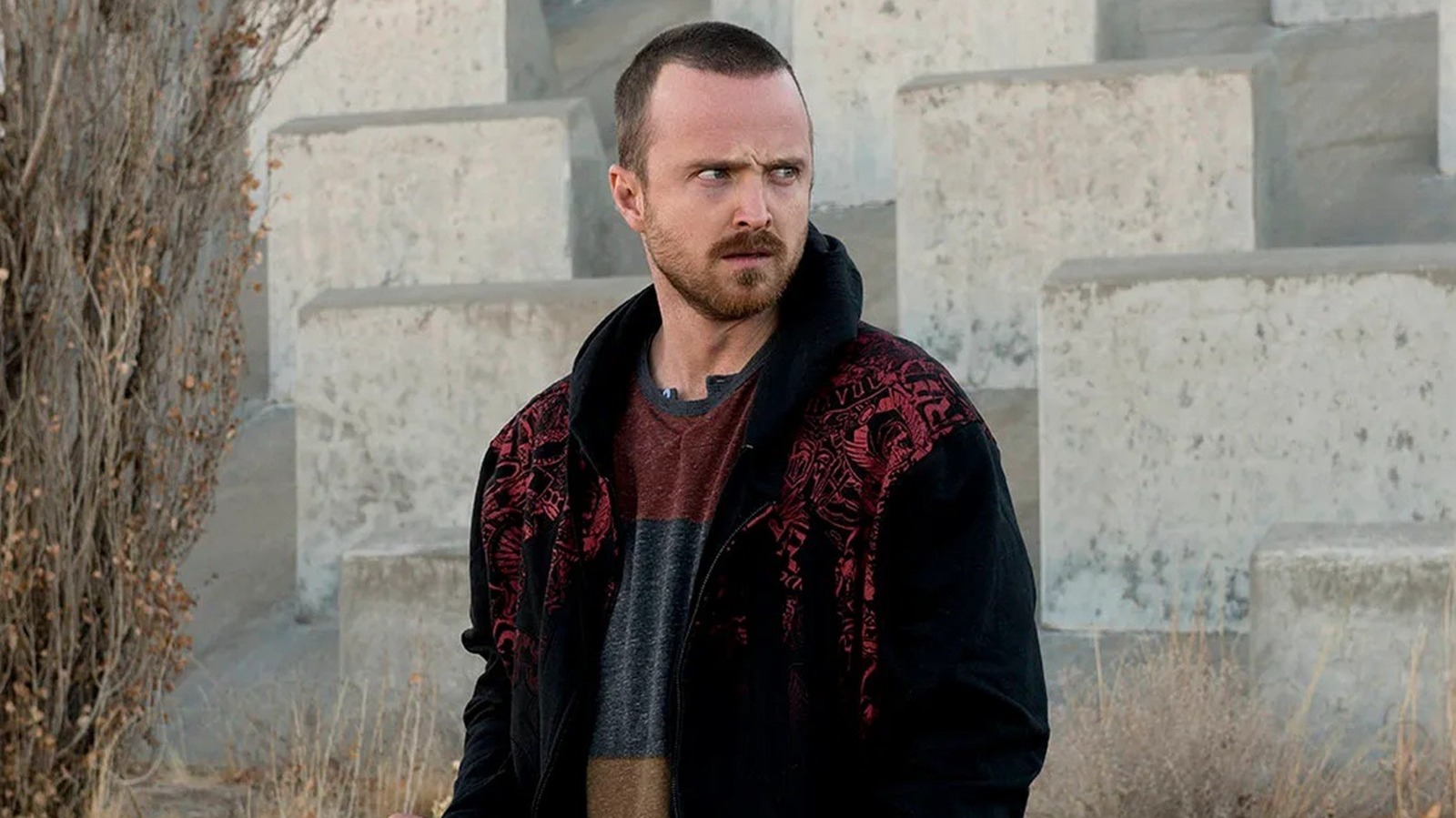 Gossip Girl : L’actrice qui a failli incarner Jesse Pinkman dans Breaking Bad.