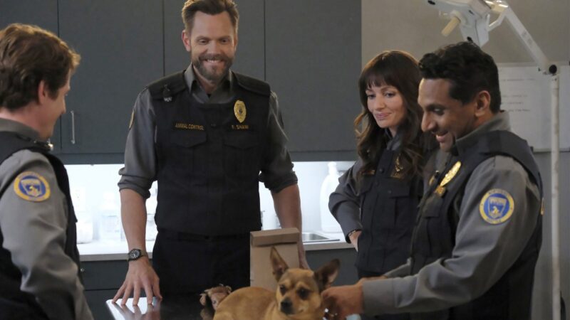 Previous Seasons : Ce que cela signifie pour la disponibilité sur Netflix.