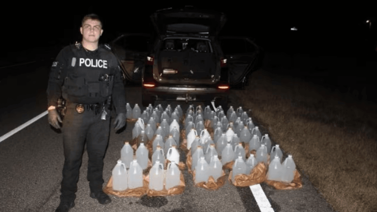 Florida Man : Détails surprenants sur la saisie de 81 gallons de moonshine en Alabama.