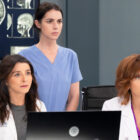 Grey's Anatomy Season 22 Episode 10 Recap — Addison Returns With Bad News