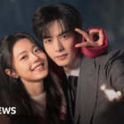 Netflix pulls Chinese drama Shine on Me after Vietnam's outcry over disputed map