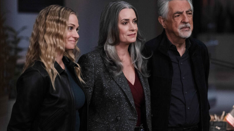 Evolution Saison 20 : La confirmation du renouvellement et la date de sortie de la Saison 19.