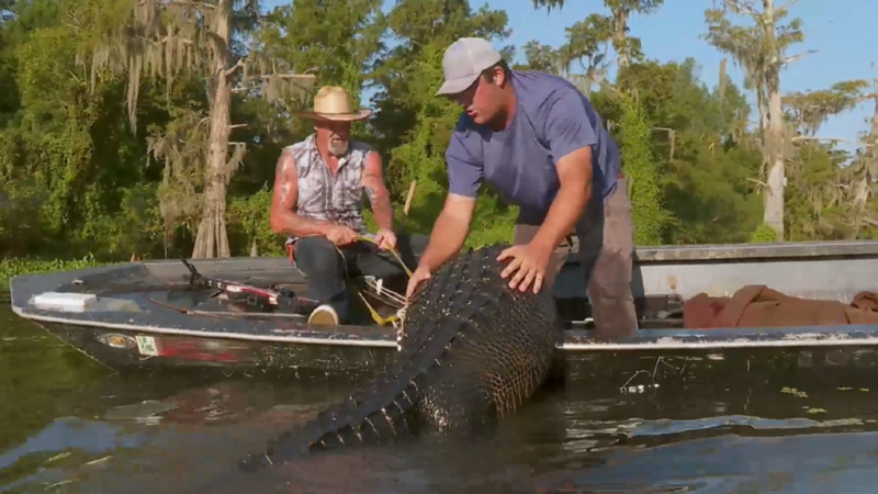 Gatorzilla : Découvrez la véritable histoire derrière le légendaire alligator capturé par Don Brewer et Calum Landry.