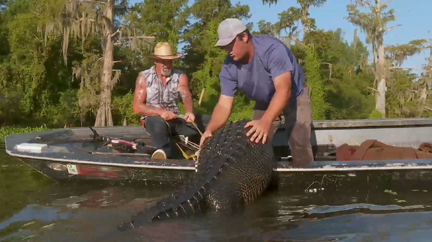 Gatorzilla : Découvrez la véritable histoire derrière le légendaire alligator capturé par Don Brewer et Calum Landry.