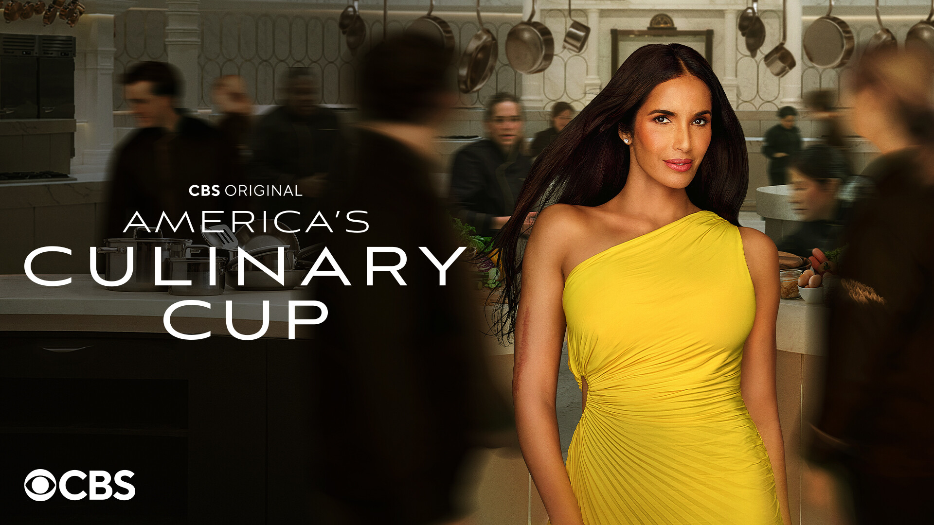 America’s Culinary Cup saison 1 : Les détails sur les audiences et les renouvellements.