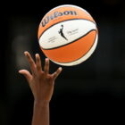Seattle Storm, University of Michigan Wolverines