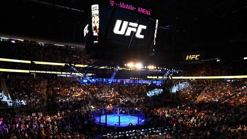 The Ultimate Fighter : La série de télé-réalité arrive sur Paramount+ le 14 juin, tout ce que l’on sait.