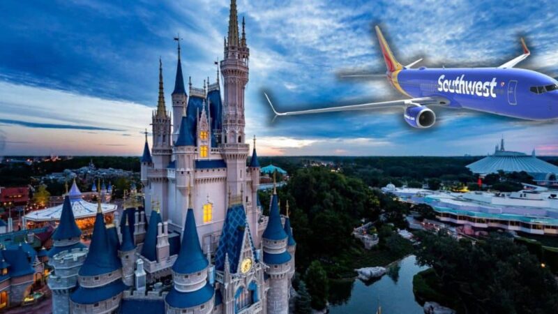Disney : Changement de politique concernant les touristes plus size en avion, ce que cela signifie.