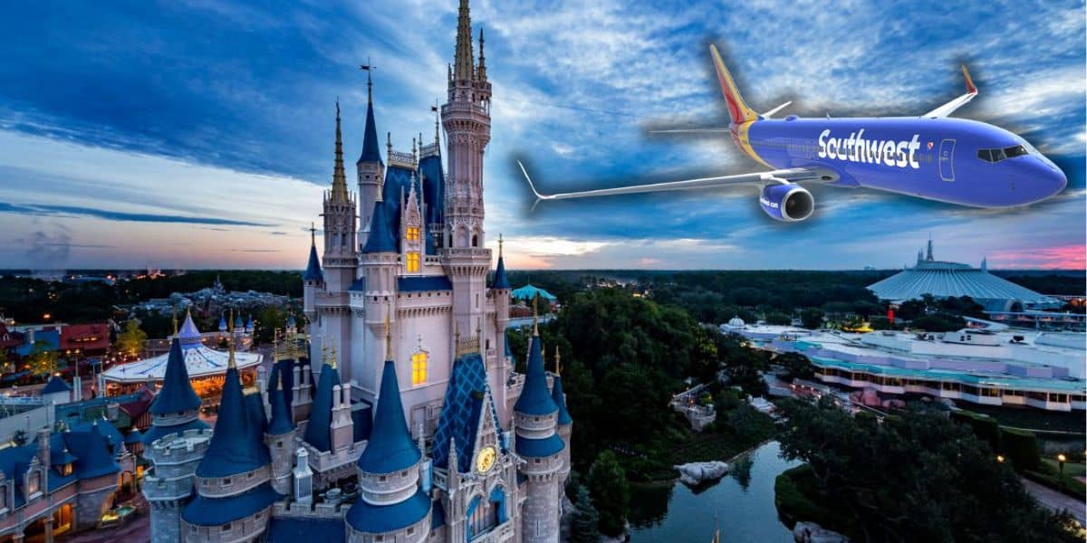 Disney : Changement de politique concernant les touristes plus size en avion, ce que cela signifie.