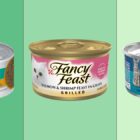 Which Wet Cat Food Is Best? 9 Vet-Approved Picks