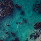 8 Netflix Documentaries I Watch When I Want To Feel Inspired