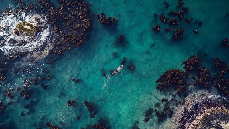 Documentaires Netflix : 8 films inspirants à ne pas manquer pour vous motiver.