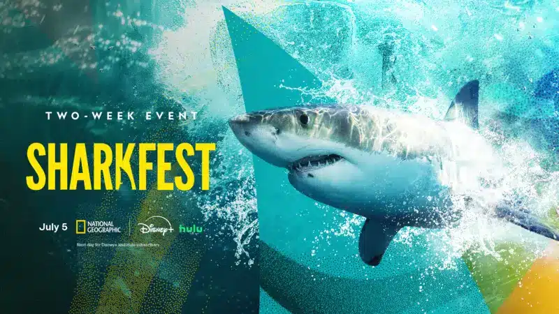 SHARKFEST : Ce que l’on sait sur le retour de l’événement sur Disney+ et Hulu.