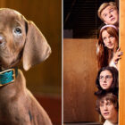 Scooby-Doo Origins Using Real Dog For Live-Action Netflix Series — First Photo