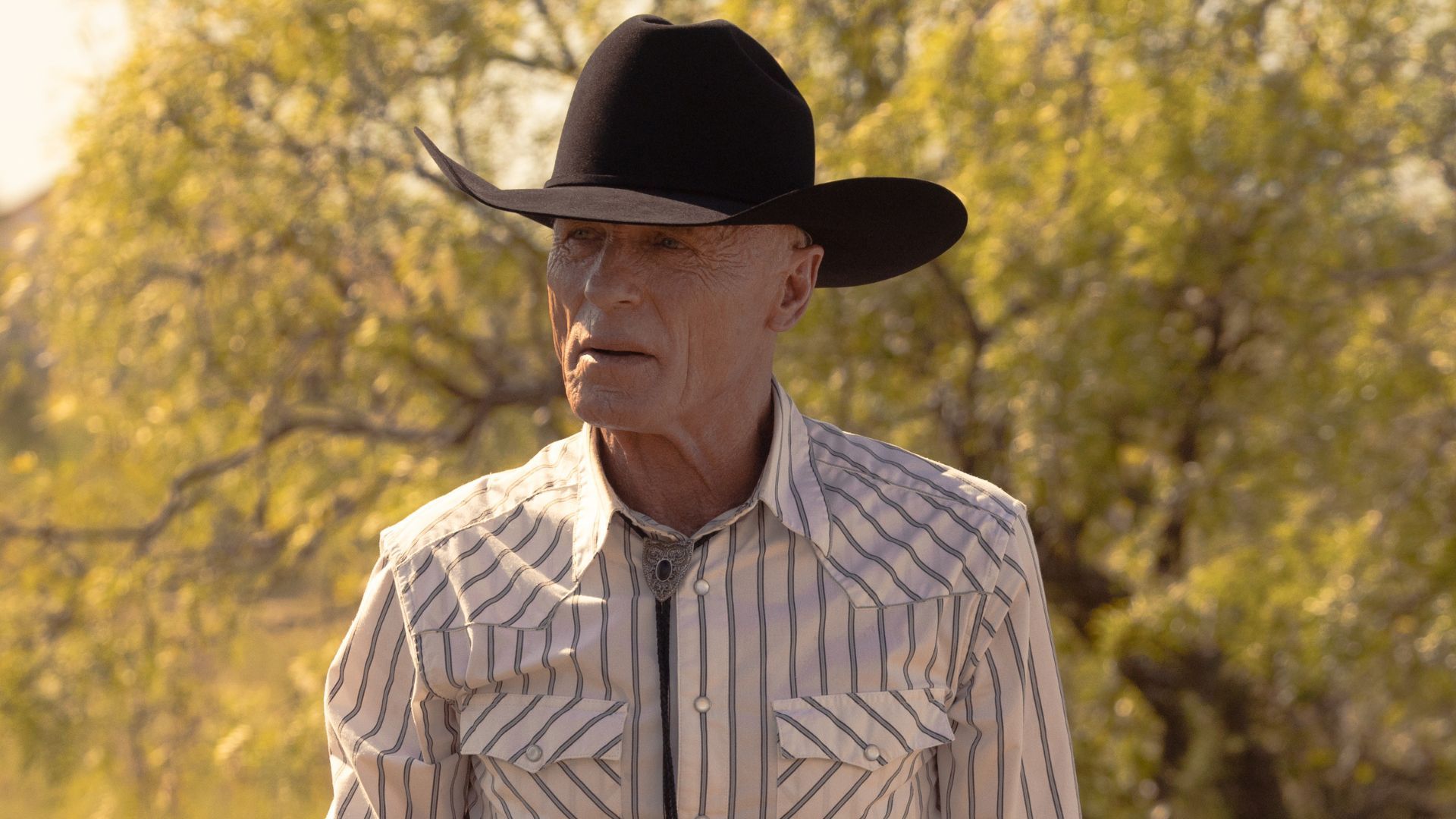 Dutton Ranch saison 2 : Changement majeur révélé par Ed Harris, tout ce que l’on sait sur la date de sortie.