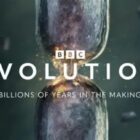 Evolution TV Show on PBS: canceled or renewed?